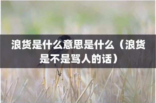 浪货是什么意思是什么（浪货是不是骂人的话）