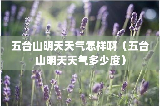 五台山明天天气怎样啊(五台山明天天气多少度)