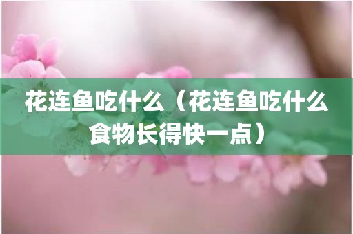 花连鱼吃什么（花连鱼吃什么食物长得快一点）