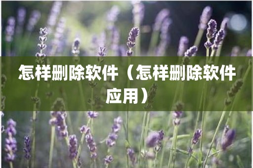 怎样删除软件（怎样删除软件应用）