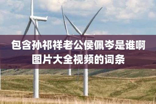 包含孙祁祥老公侯佩岑是谁啊图片大全视频的词条