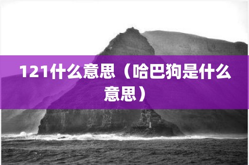 121什么意思（哈巴狗是什么意思）