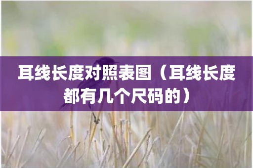 耳线长度对照表图（耳线长度都有几个尺码的）