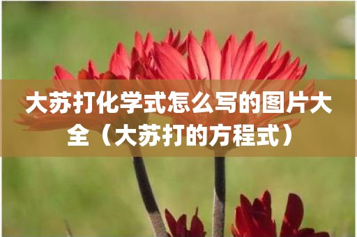 大苏打化学式怎么写的图片大全（大苏打的方程式）