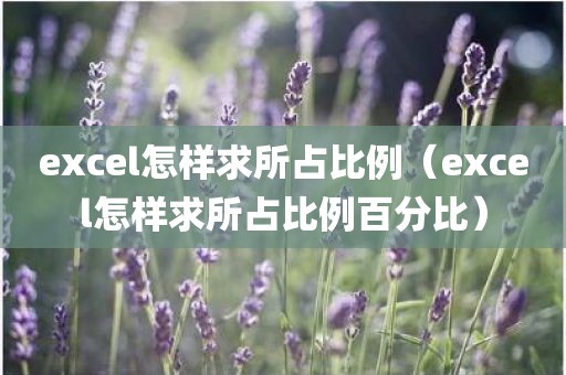 excel怎样求所占比例(excel怎样求所占比例百分比) excel怎样求所占比例(excel怎样求所占比例百分比)