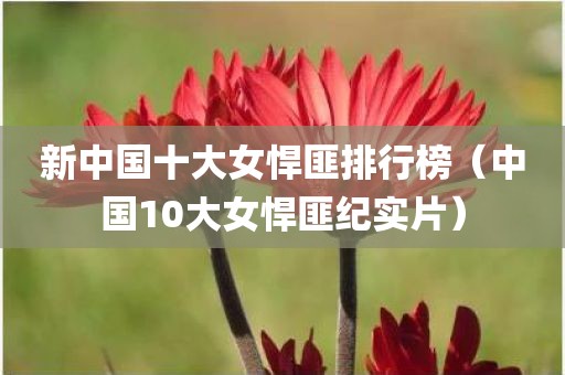 新中国十大女悍匪排行榜（中国10大女悍匪纪实片）