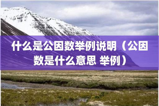 什么是公因数举例说明（公因数是什么意思 举例）