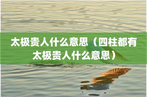 太极贵人什么意思（四柱都有太极贵人什么意思）
