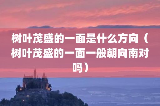 树叶茂盛的一面是什么方向（树叶茂盛的一面一般朝向南对吗）