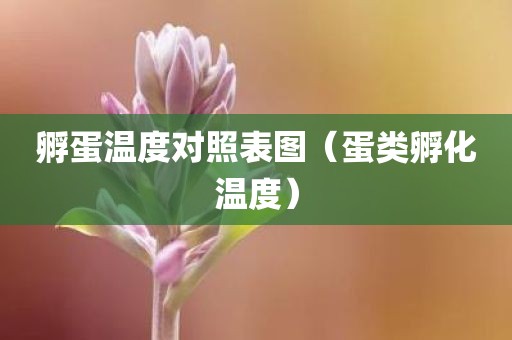 孵蛋温度对照表图（蛋类孵化温度）