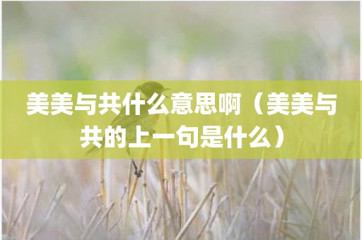 美美与共什么意思啊(美美与共的上一句是什么) 美美与共什么意思啊(美美与共的上一句是什么)