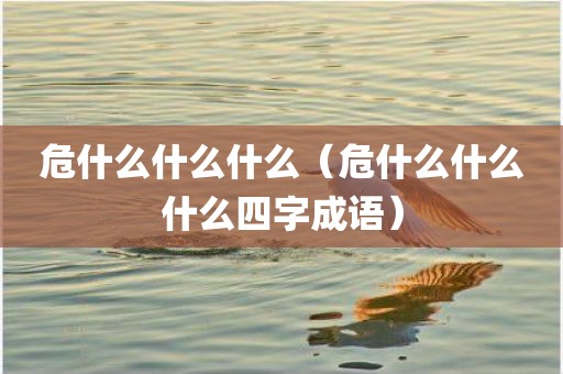 危什么什么什么(危什么什么什么四字成语)