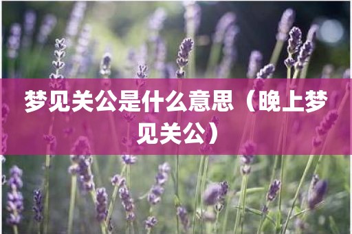 梦见关公是什么意思(晚上梦见关公)