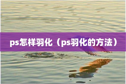 ps怎样羽化（ps羽化的方法）