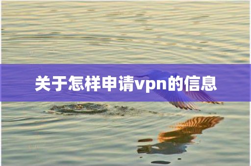 关于怎样申请vpn的信息