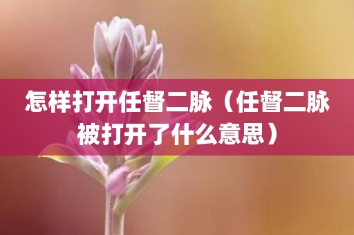 怎样打开任督二脉（任督二脉被打开了什么意思）