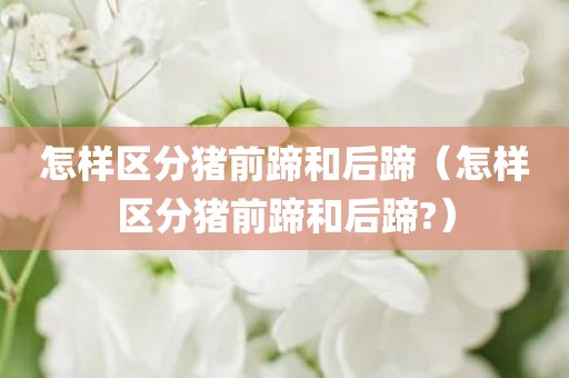 怎样区分猪前蹄和后蹄（怎样区分猪前蹄和后蹄?）