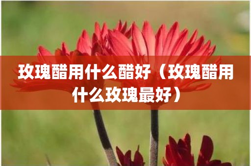 玫瑰醋用什么醋好（玫瑰醋用什么玫瑰最好）