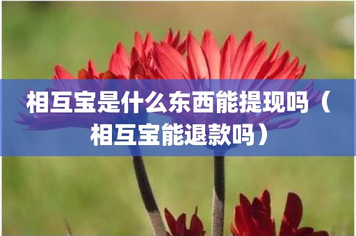 相互宝是什么东西能提现吗（相互宝能退款吗）