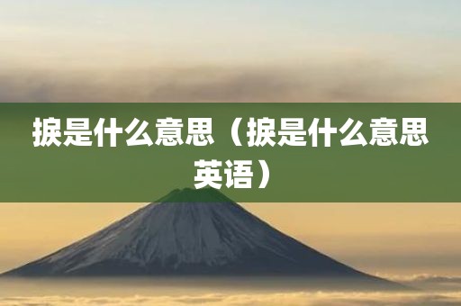 捩是什么意思（捩是什么意思英语）