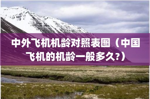 中外飞机机龄对照表图（中国飞机的机龄一般多久?）