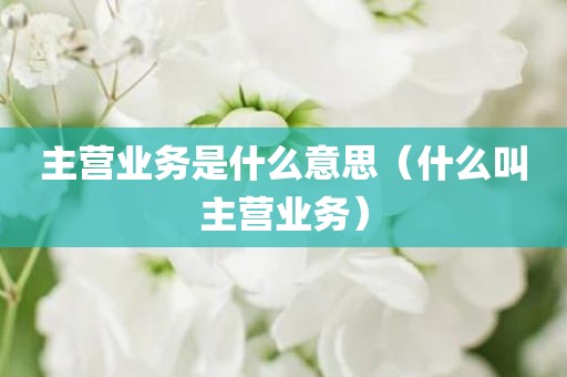 主营业务是什么意思（什么叫主营业务）