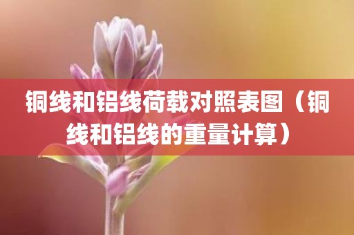 铜线和铝线荷载对照表图（铜线和铝线的重量计算）