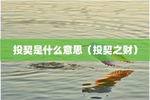 投契是什么意思（投契之财）