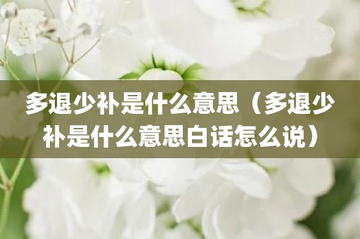 多退少补是什么意思（多退少补是什么意思白话怎么说）