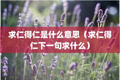 求仁得仁是什么意思（求仁得仁下一句求什么）