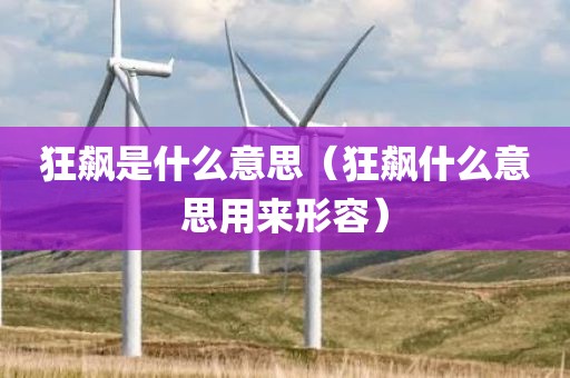 狂飙是什么意思（狂飙什么意思用来形容）