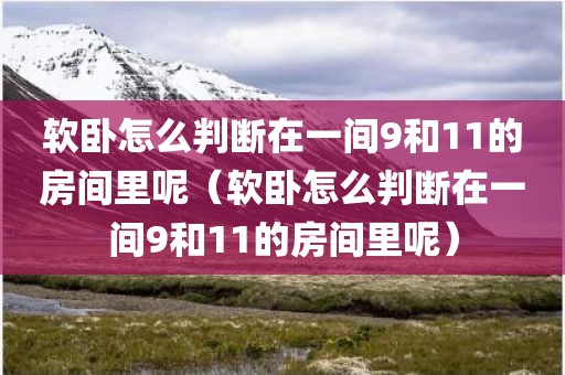 软卧怎么判断在一间9和11的房间里呢（软卧怎么判断在一间9和11的房间里呢）