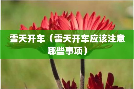 雪天开车（雪天开车应该注意哪些事项）