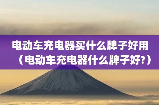 电动车充电器买什么牌子好用（电动车充电器什么牌子好?）