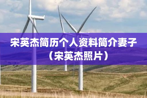 宋英杰简历个人资料简介妻子（宋英杰照片）