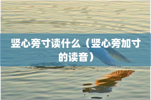 竖心旁寸读什么（竖心旁加寸的读音）