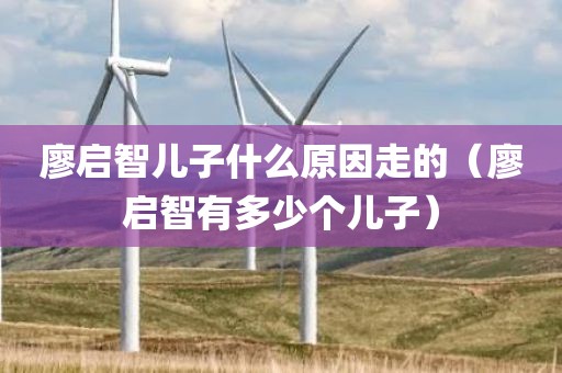 廖启智儿子什么原因走的（廖启智有多少个儿子）