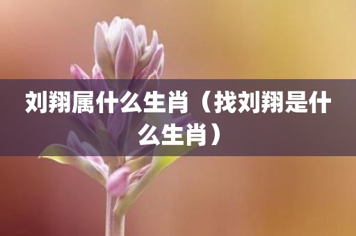 刘翔属什么生肖（找刘翔是什么生肖）