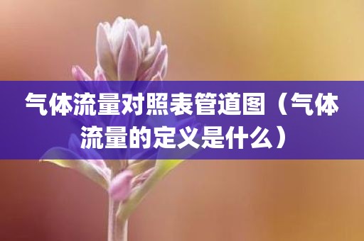 气体流量对照表管道图（气体流量的定义是什么）