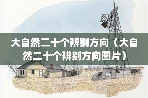 大自然二十个辨别方向(大自然二十个辨别方向图片)