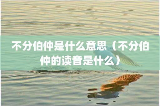 不分伯仲是什么意思(不分伯仲的读音是什么)