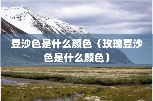 豆沙色是什么颜色（玫瑰豆沙色是什么颜色）