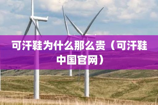 可汗鞋为什么那么贵（可汗鞋中国官网）