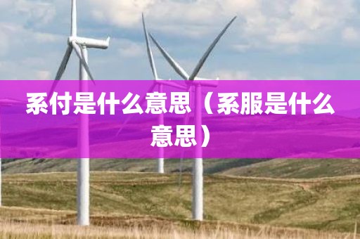系付是什么意思（系服是什么意思）
