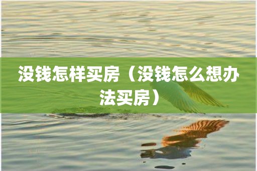 没钱怎样买房（没钱怎么想办法买房）