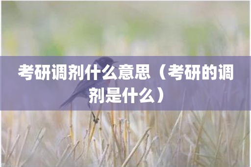 考研调剂什么意思（考研的调剂是什么）