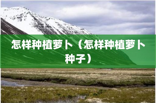 怎样种植萝卜（怎样种植萝卜种子）