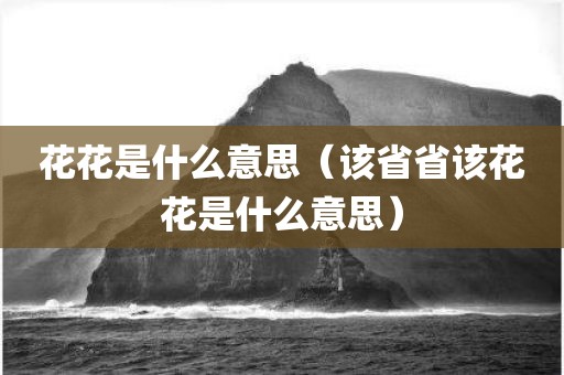 花花是什么意思（该省省该花花是什么意思）