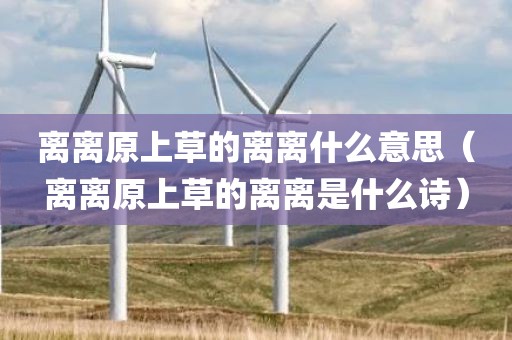 离离原上草的离离什么意思（离离原上草的离离是什么诗）