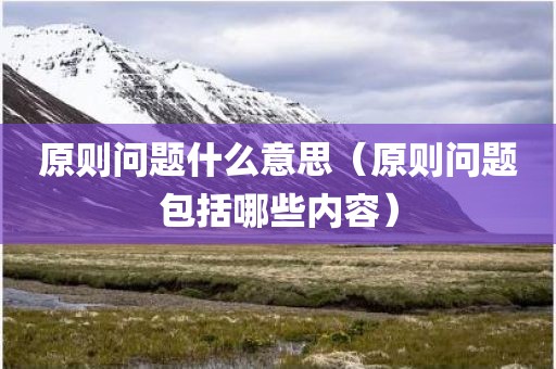 原则问题什么意思（原则问题包括哪些内容）